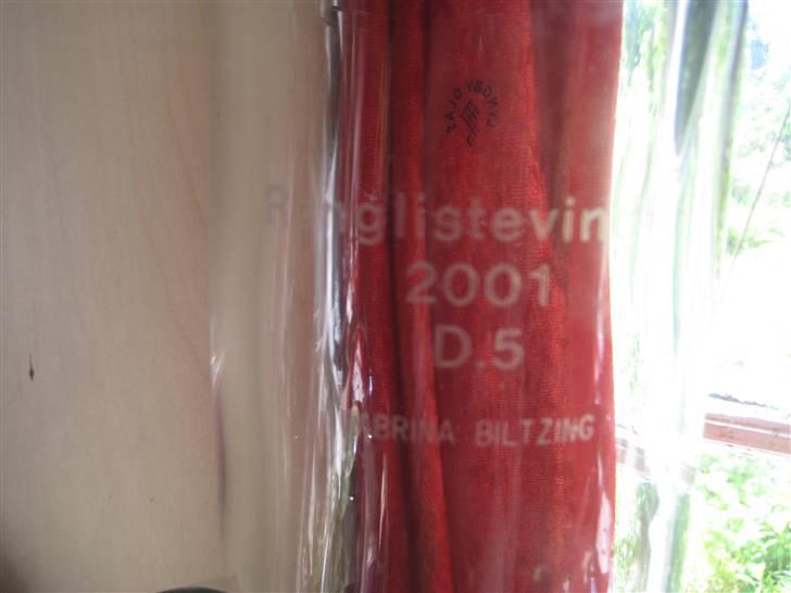 Mine rosetter - Jeg blev rangliste vinder i distrik 5 på pony, over ALLE pony kategorierne (1, 2 og 3) Det var på Golden Desert Fighter (se album) billede 71