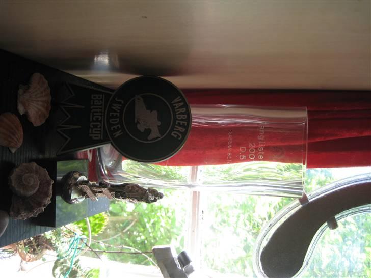 Mine rosetter billede 72