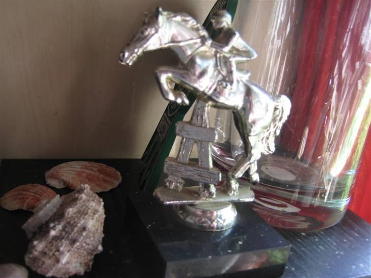 Mine rosetter - Denne fik jeg til en opvisning på Sahra billede 73