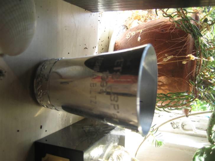 Mine rosetter billede 75