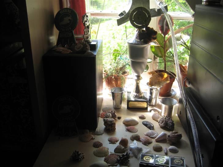 Mine rosetter - Min ene pokal, vase og 2x Baltic Cup plaquetter billede 78