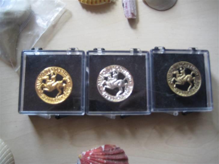 Mine rosetter - Pony mærkerne guld, sølv og bronze billede 79