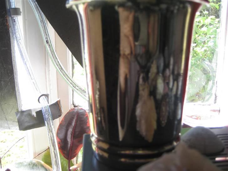 Mine rosetter - Vinder af 4H dyreskuet 2004 med Sahra billede 80