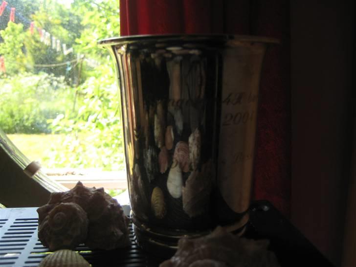 Mine rosetter - Vinder af 4H dyreskuet 2003 med Sahra billede 81