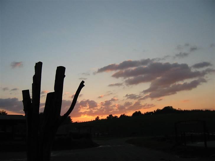 Østerlund Ridelejr - Smuk horisont. billede 6