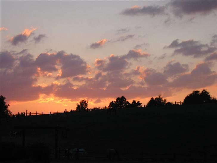 Østerlund Ridelejr - Smuk horisont. billede 7