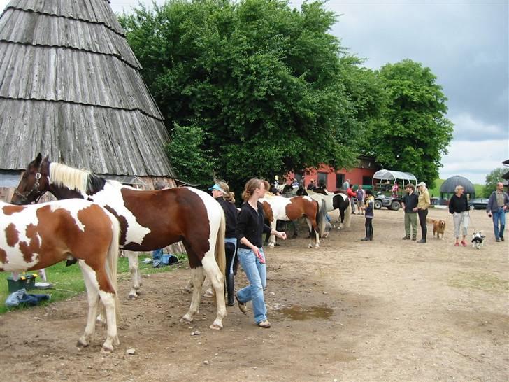 Østerlund Ridelejr - Tippien vi sover i i baggrunden. billede 12