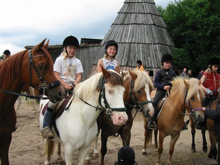 Østerlund Ridelejr billede 14