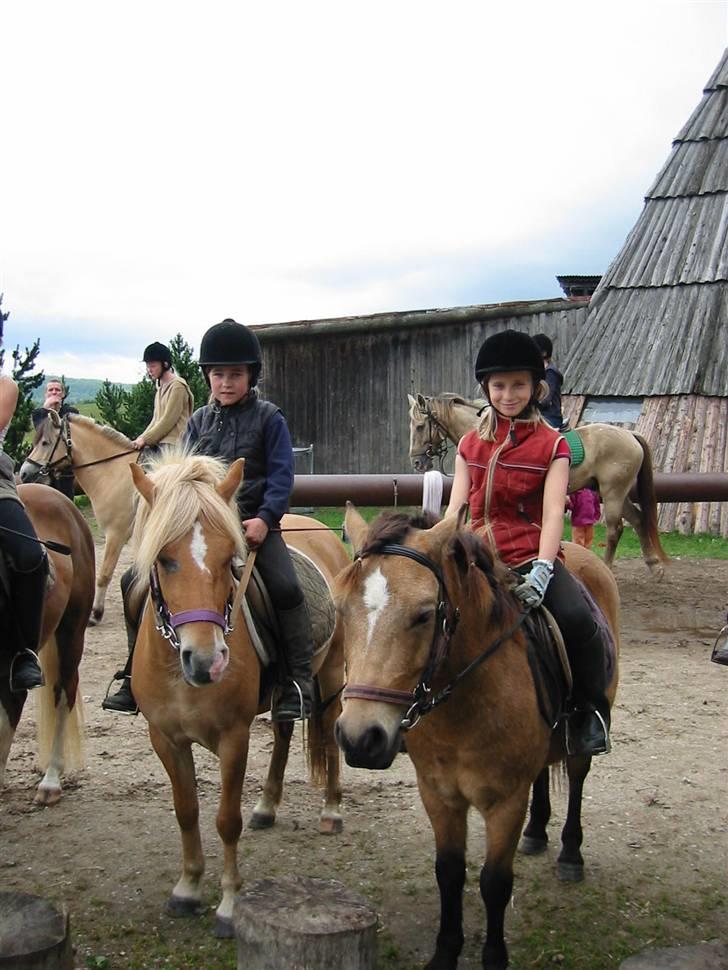Østerlund Ridelejr billede 15