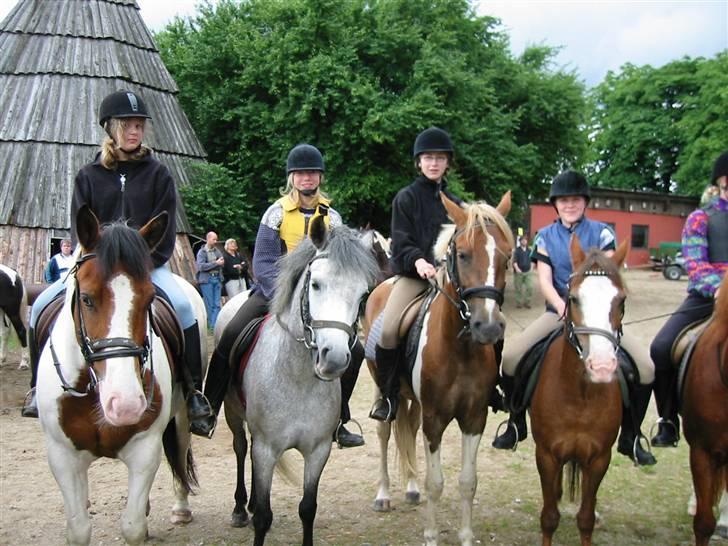 Østerlund Ridelejr billede 16