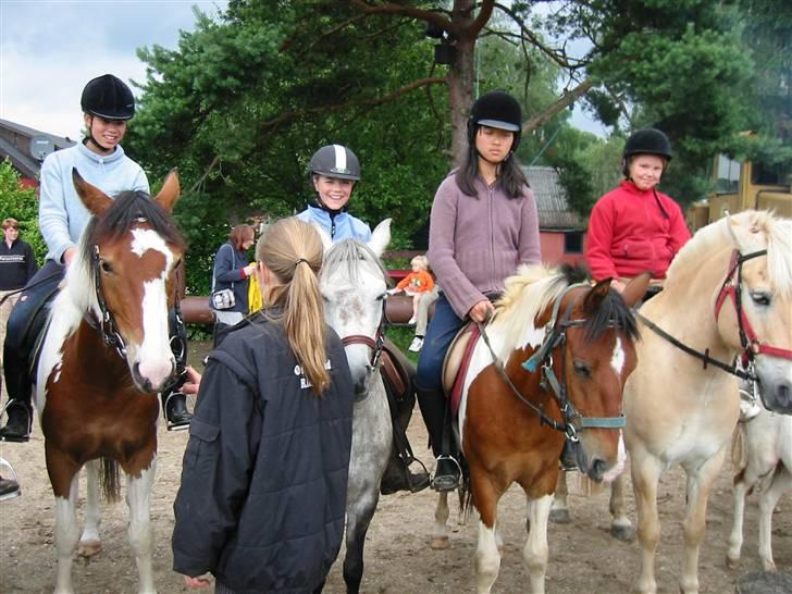 Østerlund Ridelejr billede 18