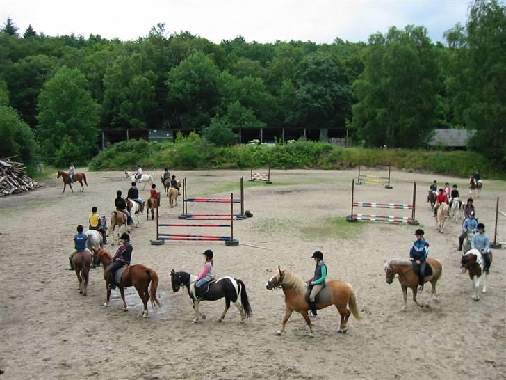 Østerlund Ridelejr - Springbanen. billede 19