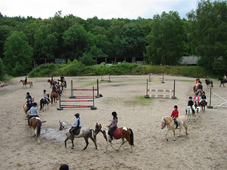 Østerlund Ridelejr billede 20