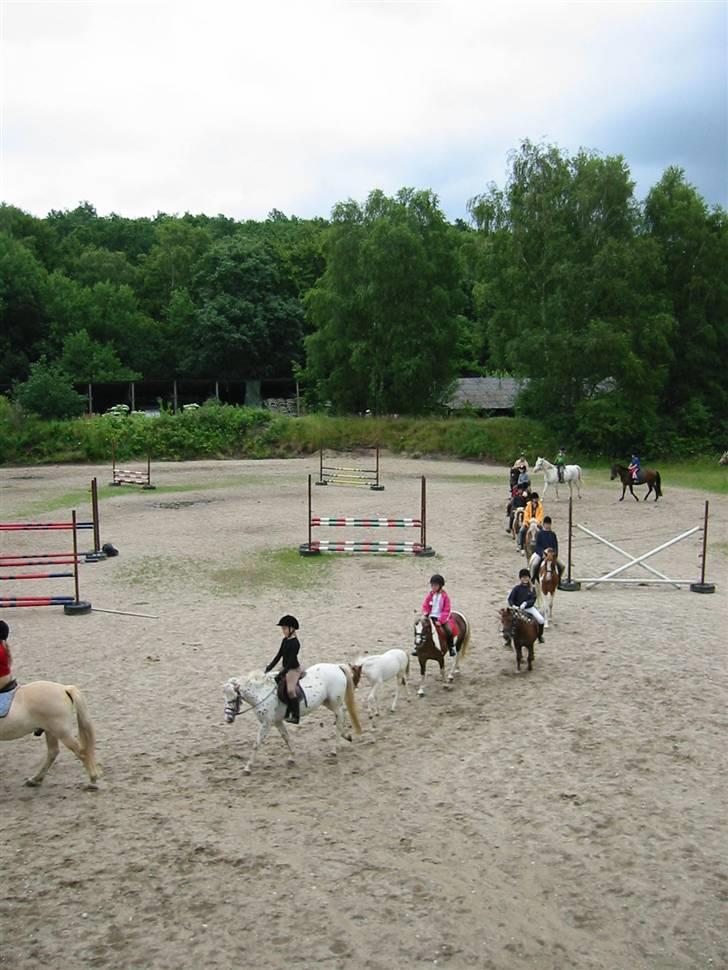 Østerlund Ridelejr billede 21