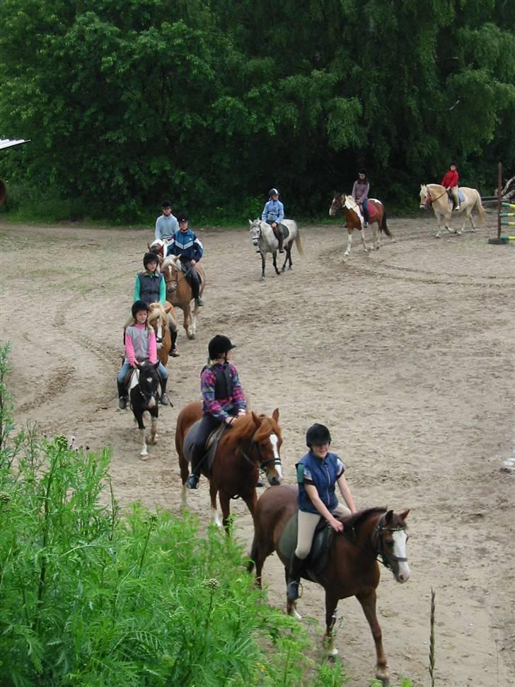 Østerlund Ridelejr billede 22