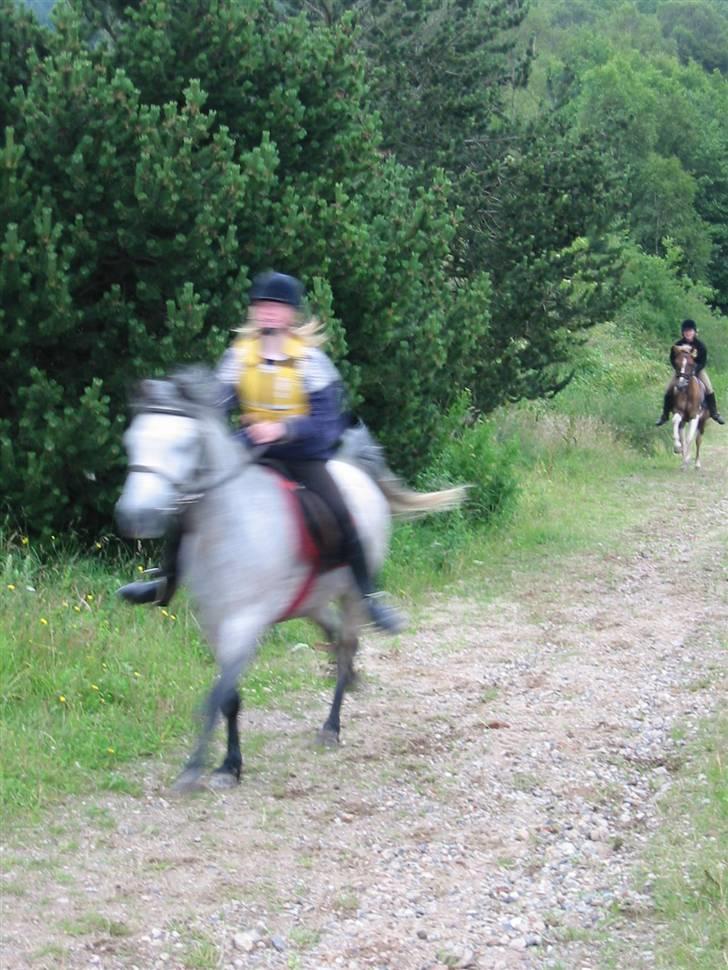 Østerlund Ridelejr billede 23