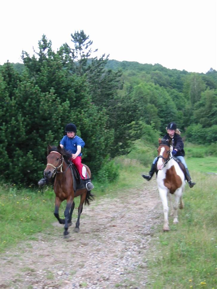 Østerlund Ridelejr billede 24