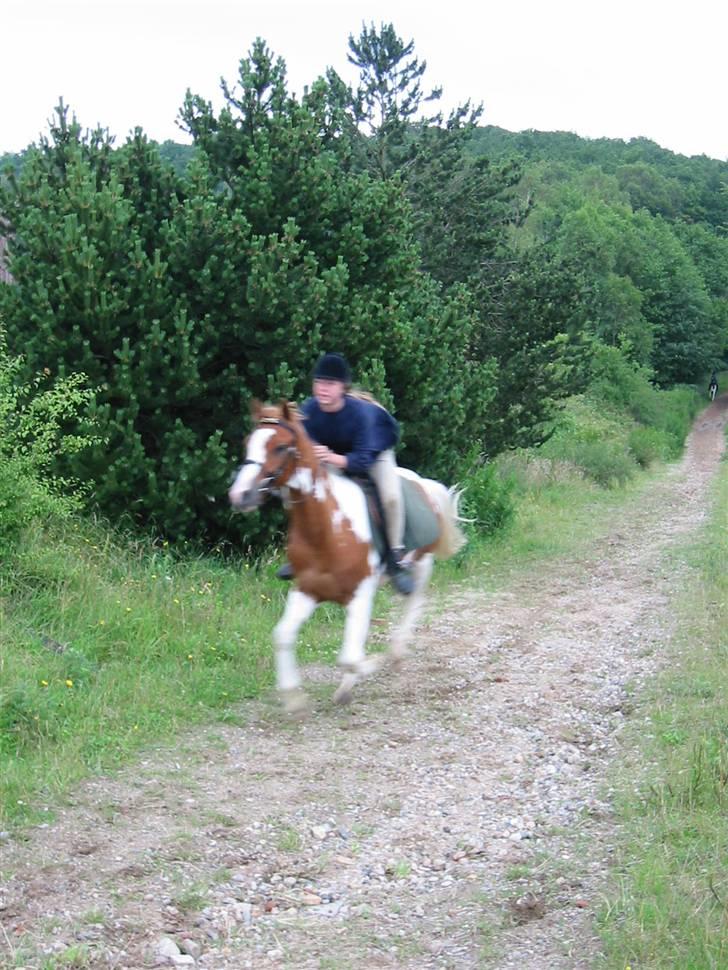 Østerlund Ridelejr billede 26