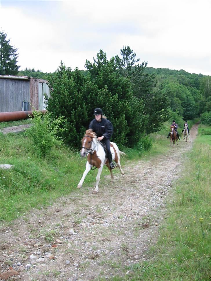 Østerlund Ridelejr billede 27