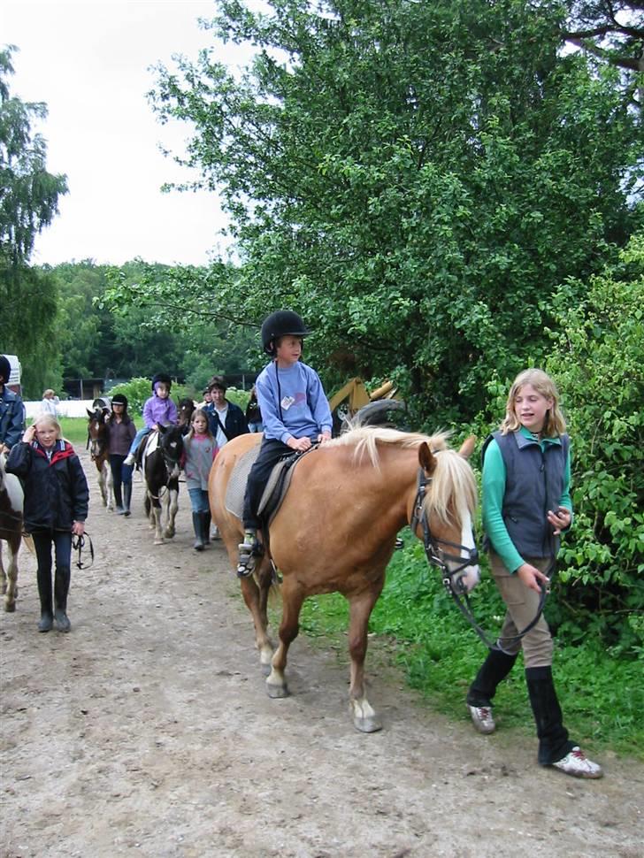 Østerlund Ridelejr billede 29