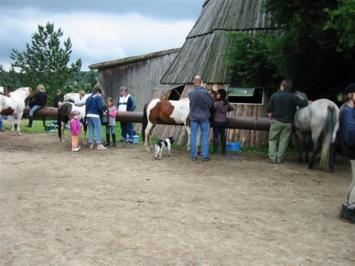 Østerlund Ridelejr billede 30