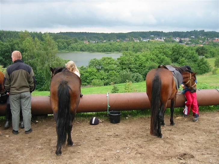 Østerlund Ridelejr billede 31