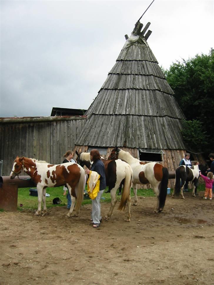 Østerlund Ridelejr billede 32