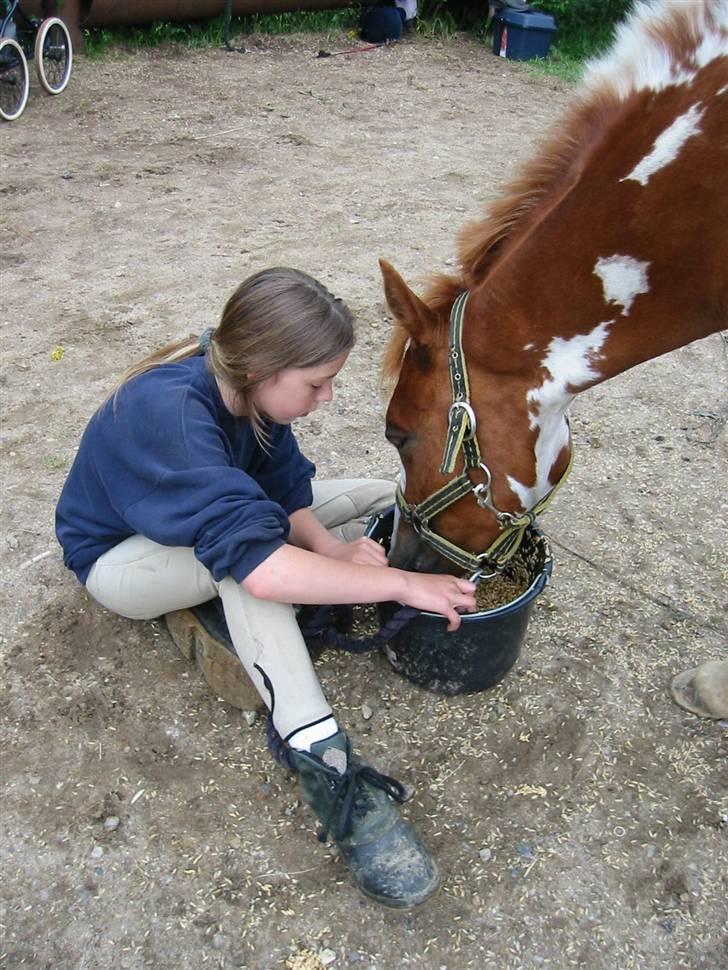 Østerlund Ridelejr billede 33