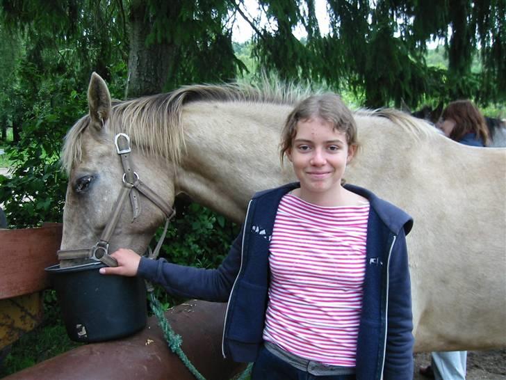 Østerlund Ridelejr - Fodring af hentene. billede 34