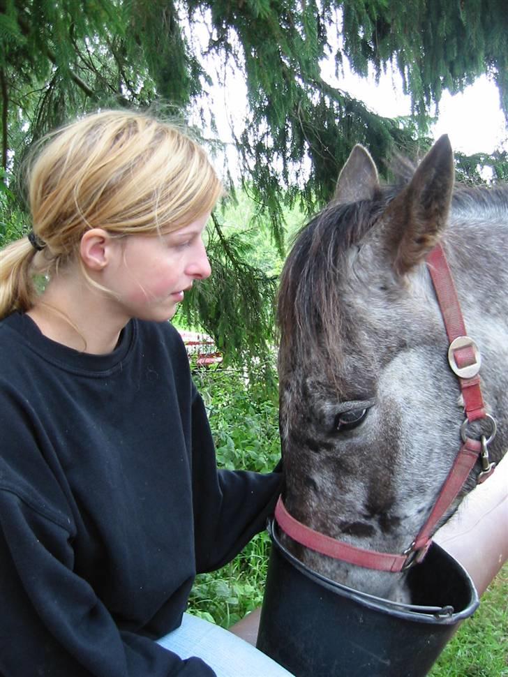 Østerlund Ridelejr billede 35