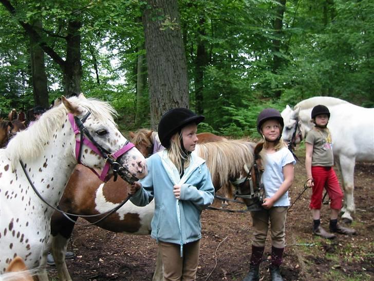Østerlund Ridelejr billede 37