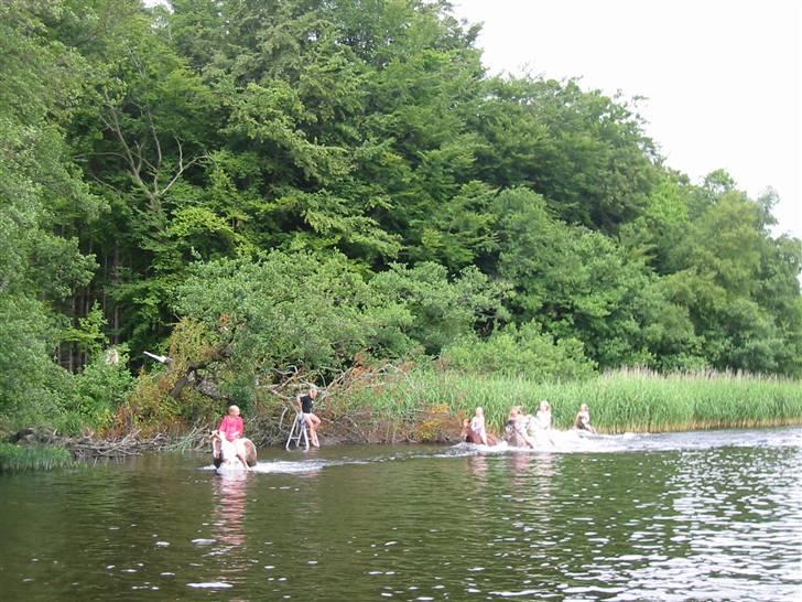 Østerlund Ridelejr billede 38