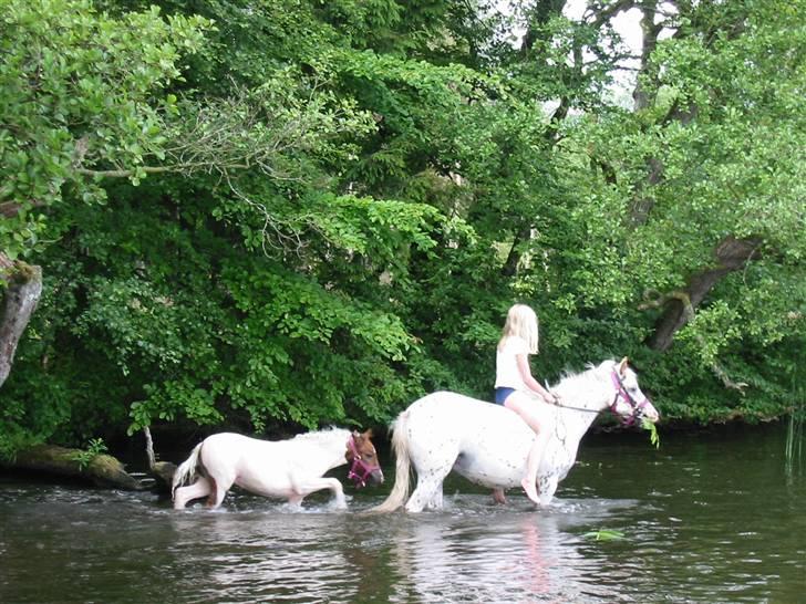Østerlund Ridelejr billede 39