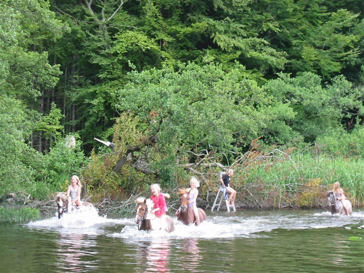 Østerlund Ridelejr billede 40