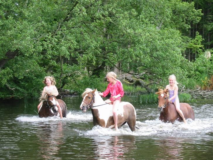 Østerlund Ridelejr billede 41