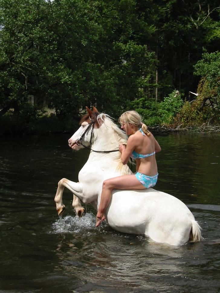 Østerlund Ridelejr billede 43