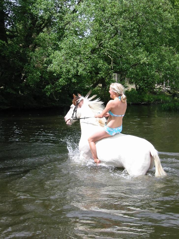 Østerlund Ridelejr billede 44