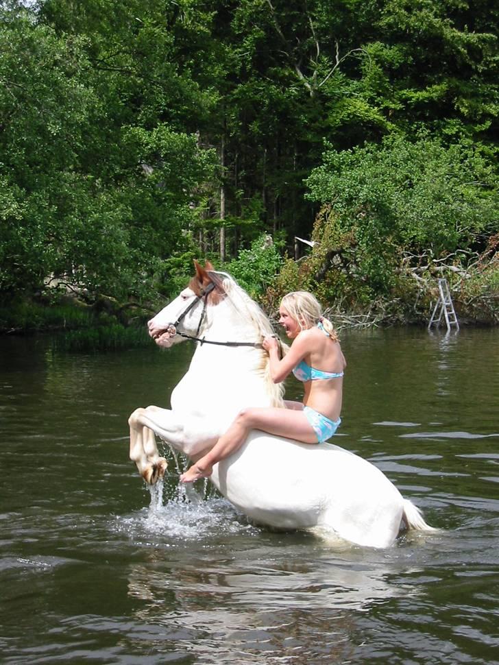 Østerlund Ridelejr billede 45