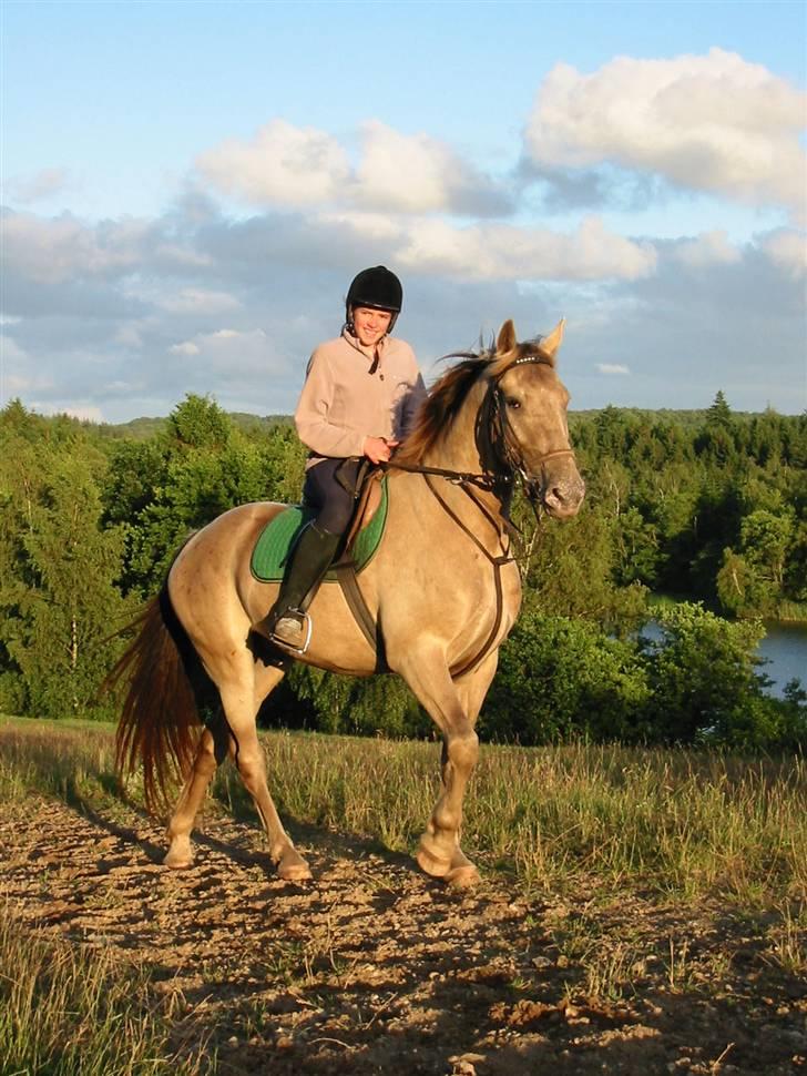 Østerlund Ridelejr billede 46