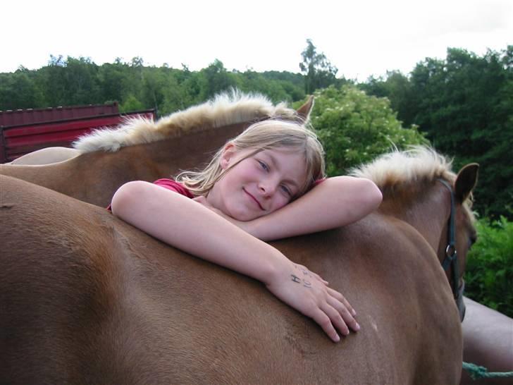 Østerlund Ridelejr billede 47