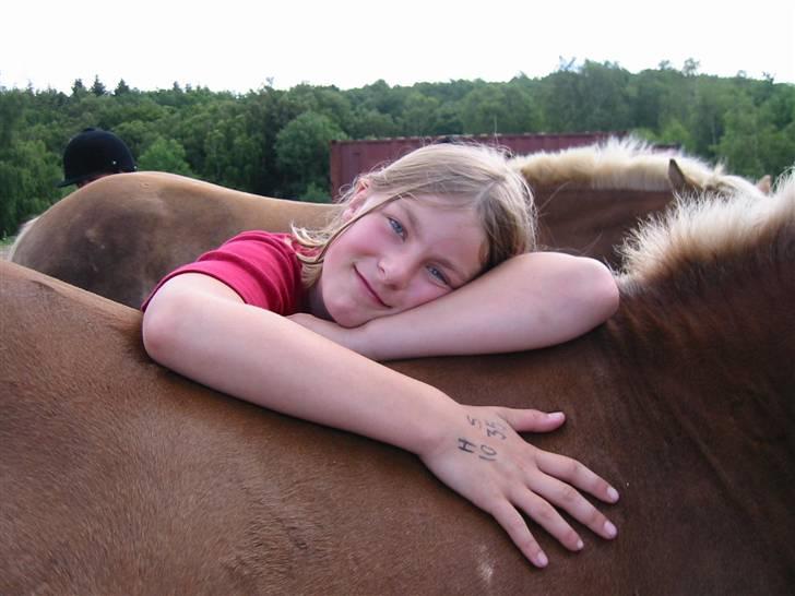 Østerlund Ridelejr billede 48