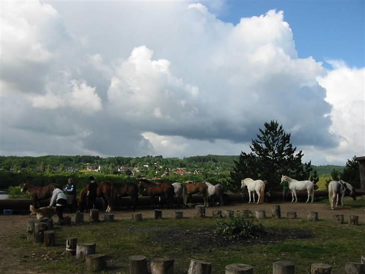 Østerlund Ridelejr billede 49