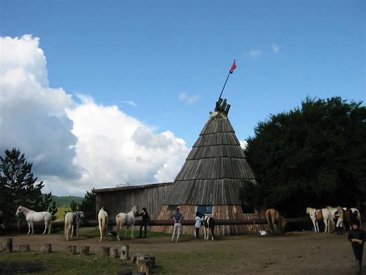 Østerlund Ridelejr billede 50