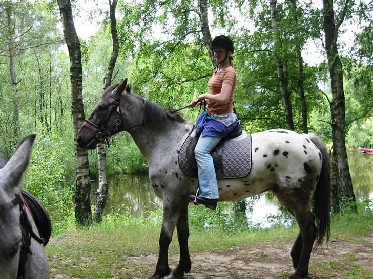 Østerlund Ridelejr billede 51