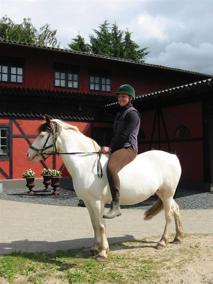 Østerlund Ridelejr billede 53