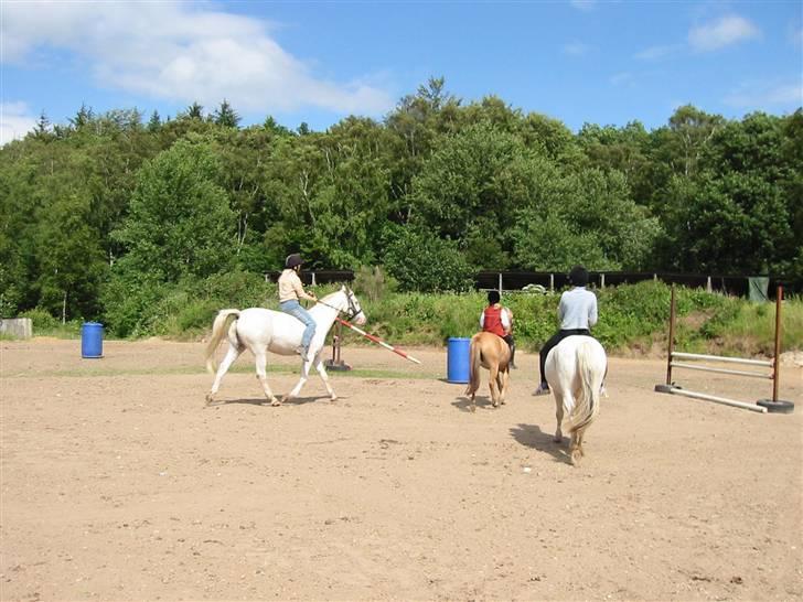 Østerlund Ridelejr billede 54