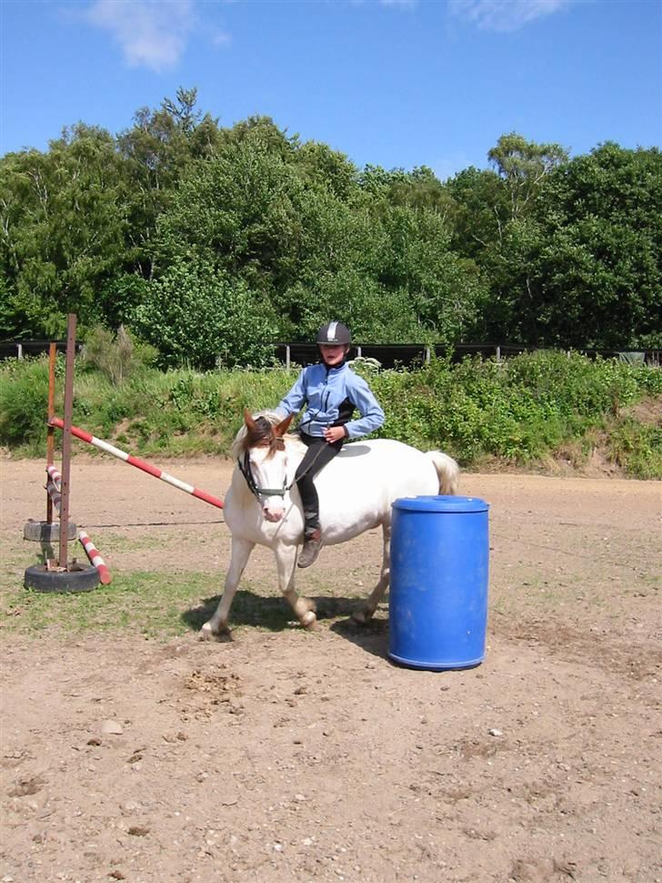 Østerlund Ridelejr billede 55