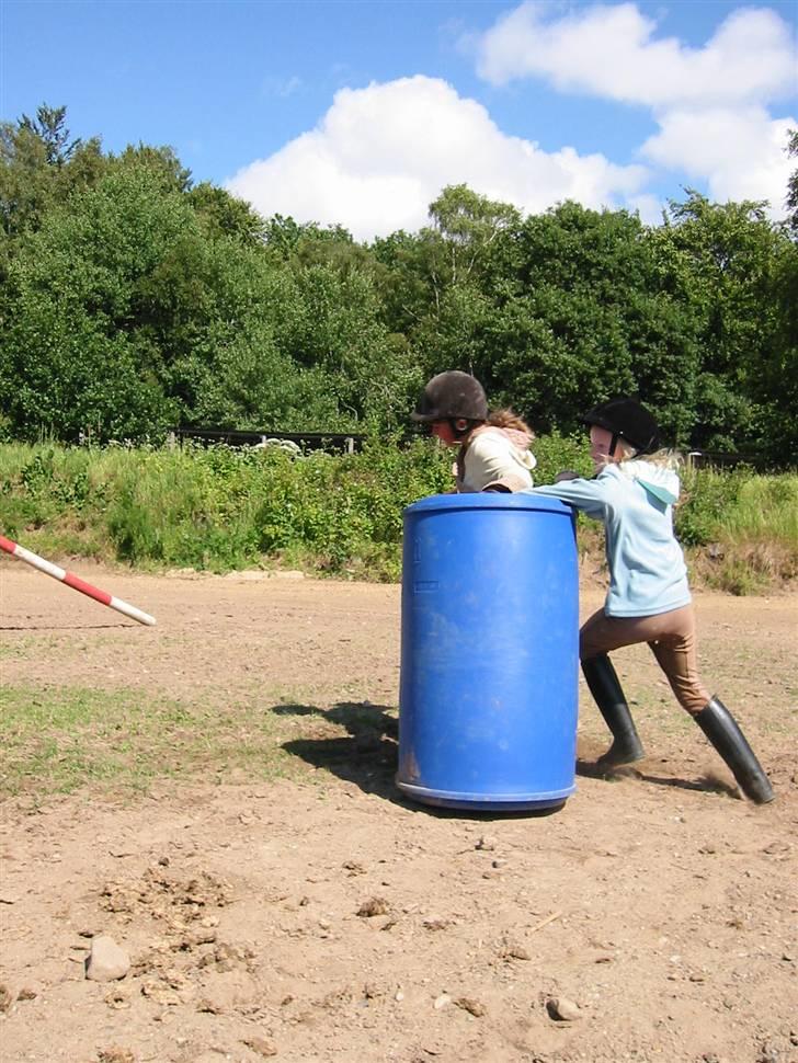 Østerlund Ridelejr billede 56