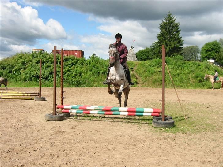 Østerlund Ridelejr billede 58