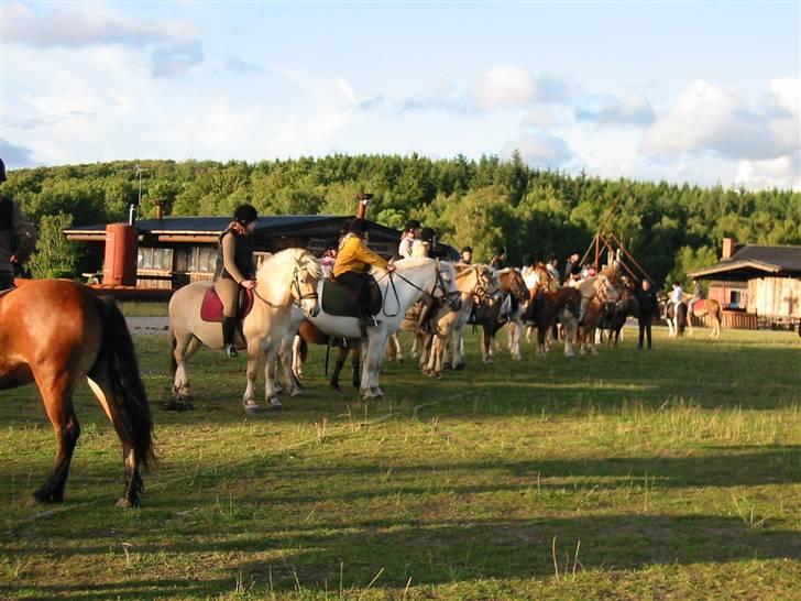 Østerlund Ridelejr billede 65